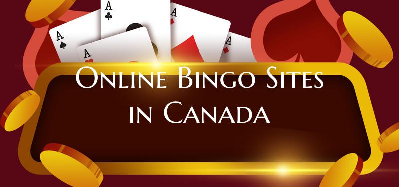 Online Bingo Sites in Canada